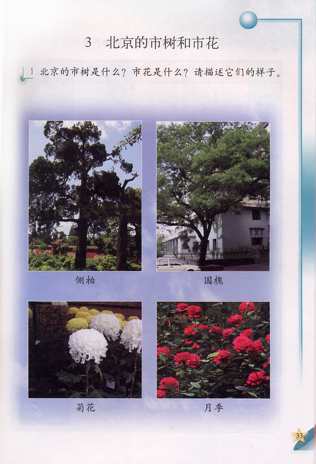 3 北京的市树和市花(第33页)