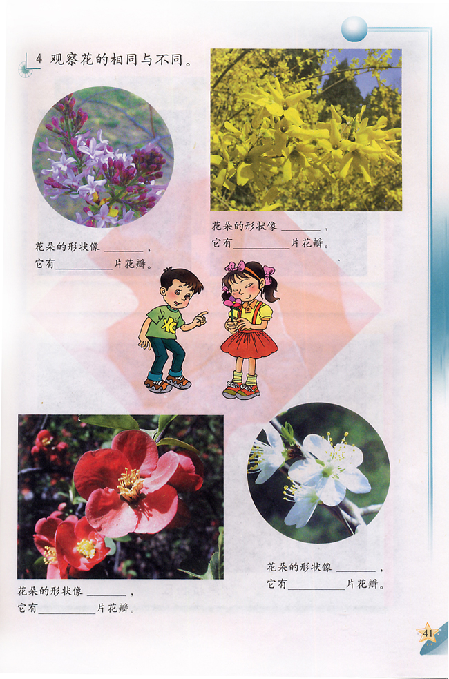 4 参观植物园(第41页)