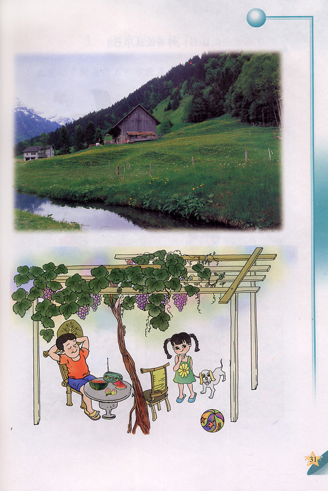 2 美化环境的植物(第31页)