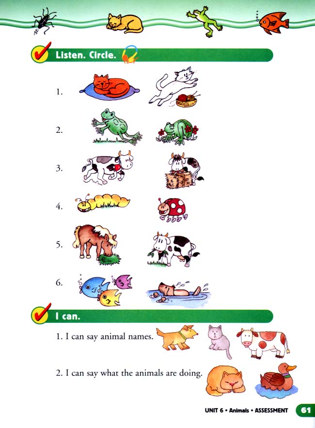 unit 6 Animals(第61页)