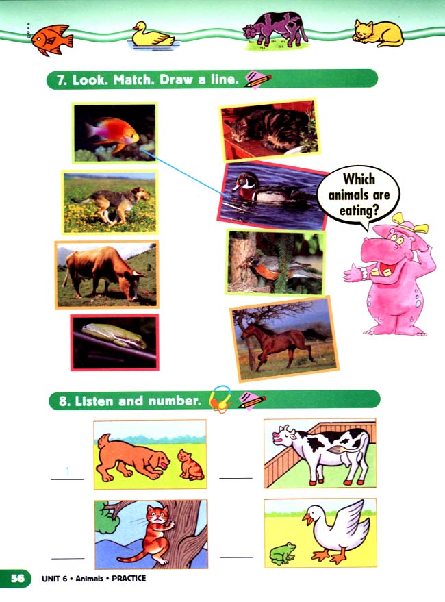 unit 6 Animals(第56页)