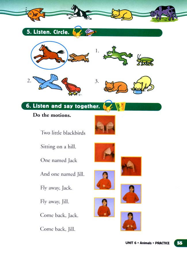 unit 6 Animals(第55页)