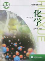 九年级化学下册(新)