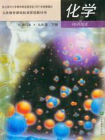 九年级化学下册(pdf格式)